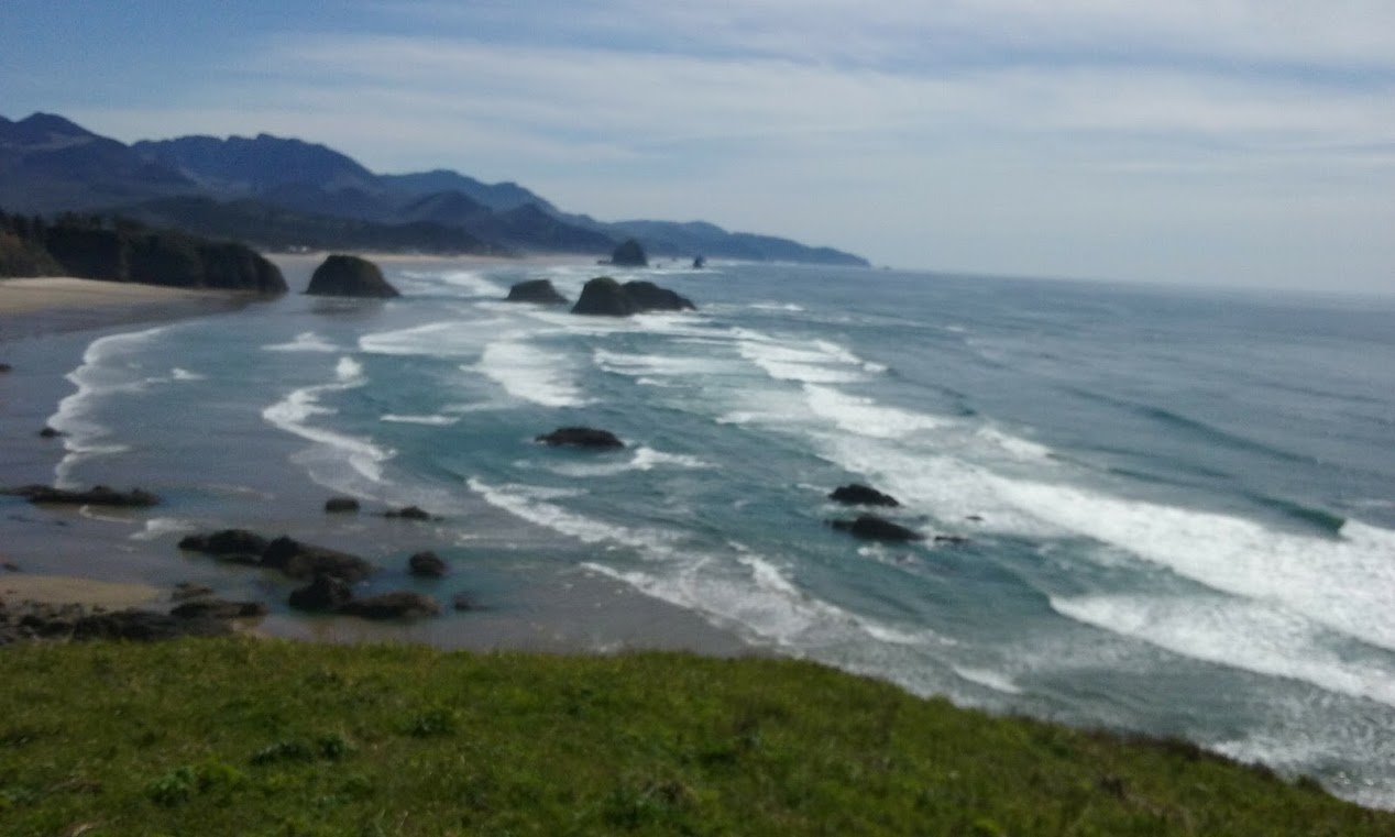 great water whale beach