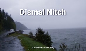 Dismal Nitch