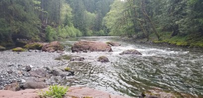 the river June 2019